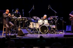 steve-gadd-pano